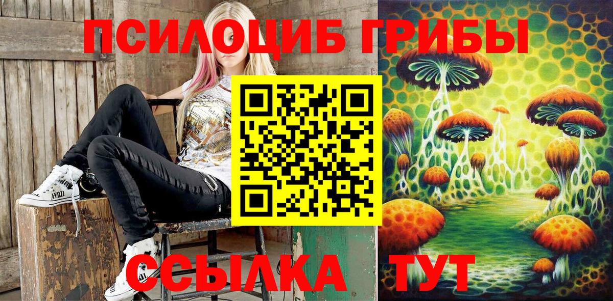 Псилоцибиновые грибы мицелий Курчалой